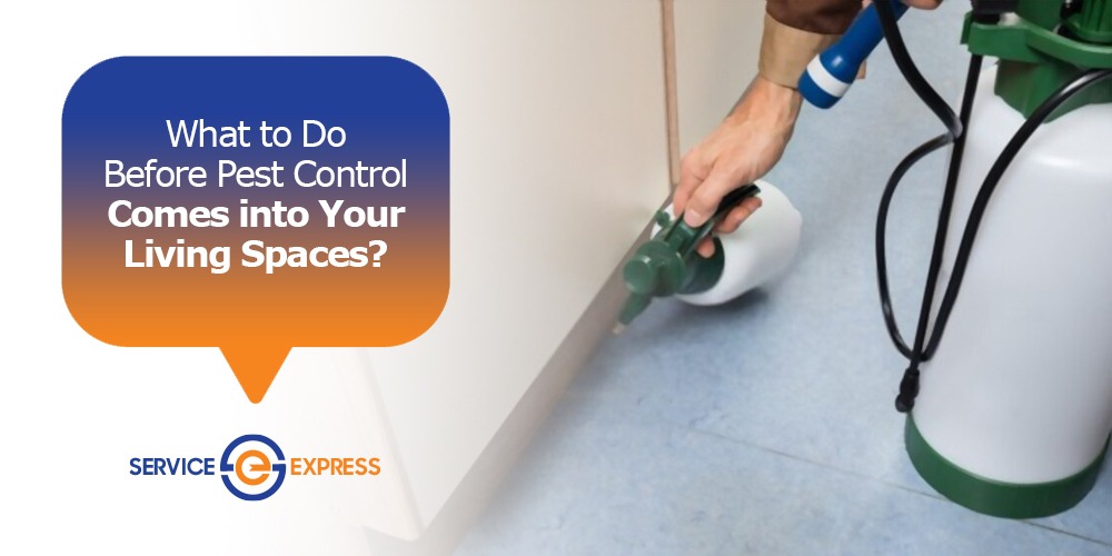 What to Do Before Pest Control Comes into Your Living Spaces?